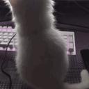 shori Discord Server Banner