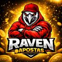 ORG RAVEN Discord Server Banner