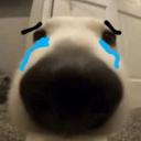 Fruit Battlegrounds - BR Discord Server Banner