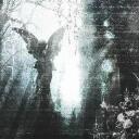 .⋆♱ 𝕰𝖑𝖎𝖙𝖊 𝕾𝖆𝖕𝖎𝖊𝖓𝖘 ˙⋆♱ Discord Server Banner