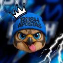 🔹ORG RUSH / 1 INVITE 1 NO PX Discord Server Banner