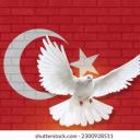 Friends-Turkiye-Support Discord Server Banner