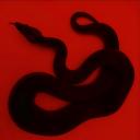 the hive Discord Server Banner