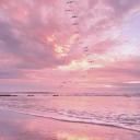 Practice Speaking Japanese! Discord Server Banner