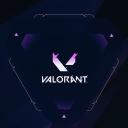 Valorant y te callas Discord Server Banner