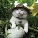 Belyus server Discord Server Banner