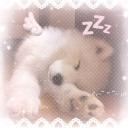 Pup's Heaven Discord Server Banner