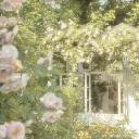 Ibasho Discord Server Banner