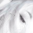 kalopsia Discord Server Banner