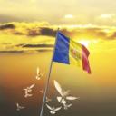 Friends-Romania-Support Discord Server Banner