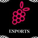 Raspberry Esport`s Icon