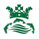 Kingston Upon Thames V2 Discord Server Banner