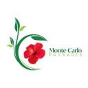 Monte-Carlo Paysages Discord Server Banner