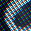 AMOLED Photoplay Discord Server Banner