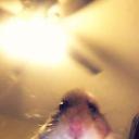 THE Server Discord Server Banner