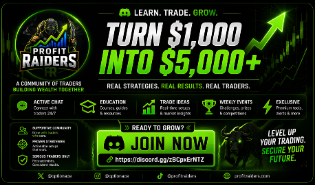 Profit Raiders Discord Server Banner