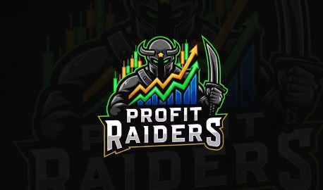 Profit Raiders Small Banner