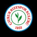 PixelRize Discord Server Banner