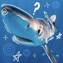 Mako Cove Discord Server Banner