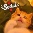 Social INDIA Discord Server Banner