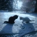 Cupid's Corner(DFIL) Discord Server Banner