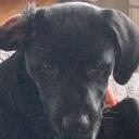 The server of servering Discord Server Banner