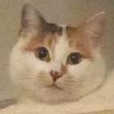 meannoysu Discord Server Banner