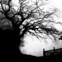 white Discord Server Banner