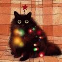 euvo’s sleepover Discord Server Banner