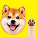 大洋洲玩家社区·OCE CN Gaming Community Discord Server Banner