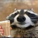 〄 𝐍𝐎 𝐋𝐈𝐌𝐈𝐓𝐒 🏂 ＞ Discord Server Banner