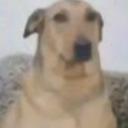 Melhores Amigos Icon