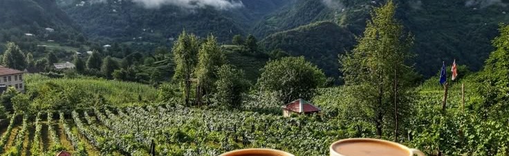 Latte's Comforting Cafe Discord Server Banner