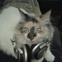 Cyber citizens Discord Server Banner
