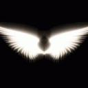 .𝕥𝕣𝕪𝕩𝕖𝕤𝕤 Discord Server Banner