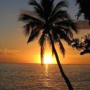 Florida Hookup Discord Server Banner