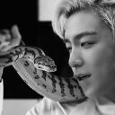 T.O.P Hangout 𝜗𝒞 | gwy Discord Server Banner