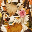 Koi Card's Kingdom Discord Server Banner