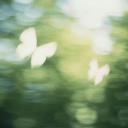 / mochi Discord Server Banner