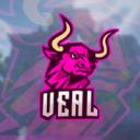 VealAltShop Discord Server Banner