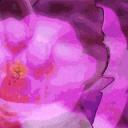 Yearning for love Discord Server Banner