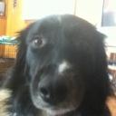 Ziller's Hang Out Discord Server Banner