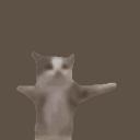 Cat Girl Gang System Discord Server Banner