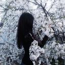 ask to dms﹒social﹒friends﹒egirls Discord Server Banner