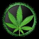 the smoking lounge Discord Server Banner