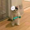 Türkiye Minecraft sunucusu. Discord Server Banner