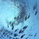 sea foood Discord Server Banner