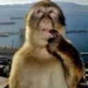 Nonchalant server [TOXIC] Discord Server Banner