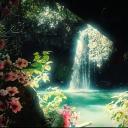 The Oasis Discord Server Banner