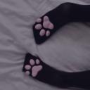 stacy Icon